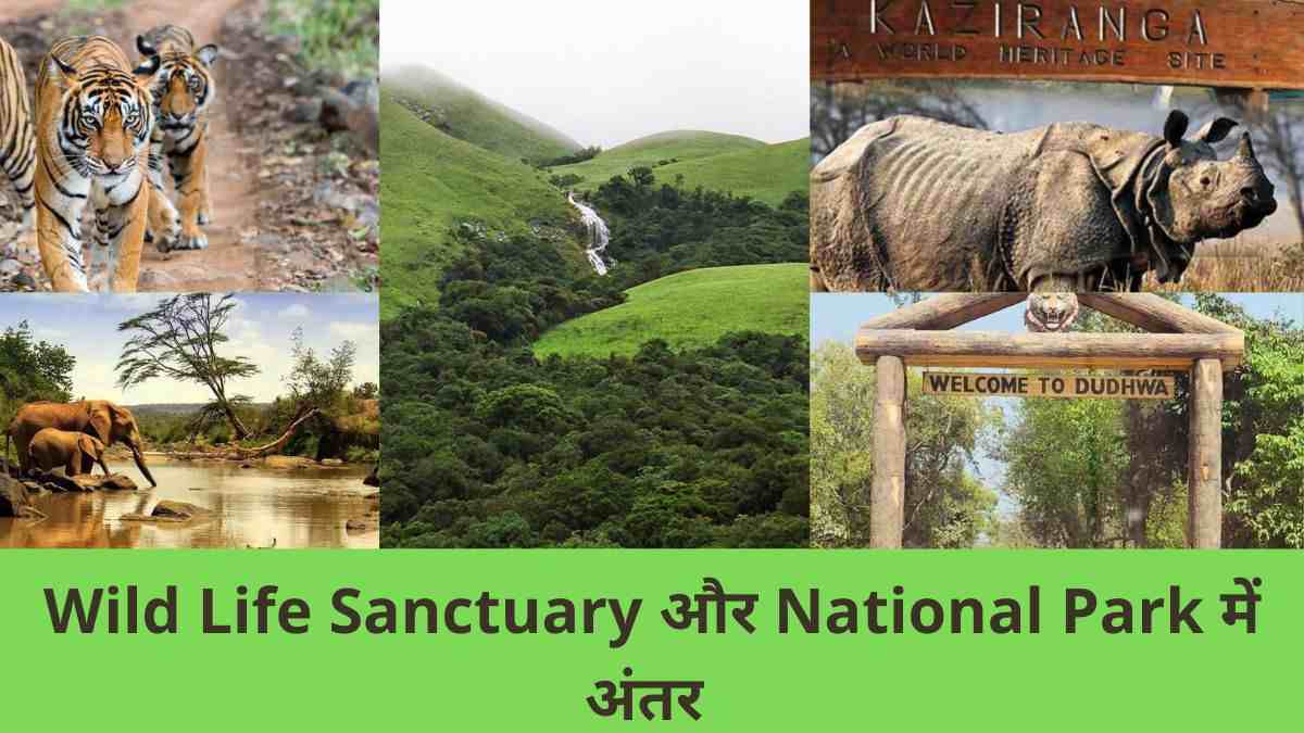 wild life sanctuary and national park